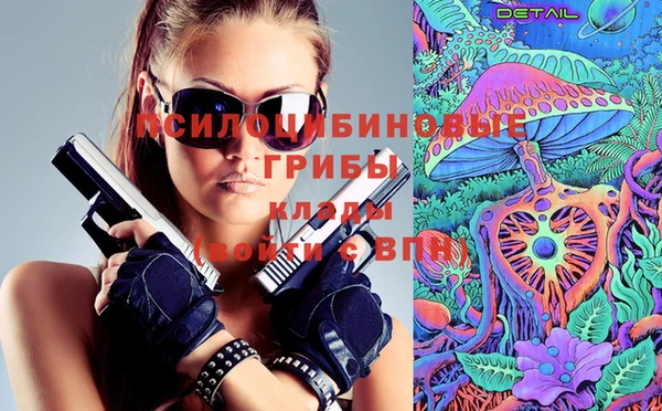 ешки Алексеевка